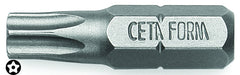 Hullbits, Torx T10 - T40, 25 mm